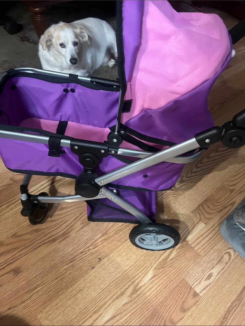 Purple and Pink Doll Stroller can hold a mini doggie or cat - Picture 4 of 4